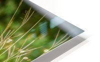 Tall Grass Impression metal HD
