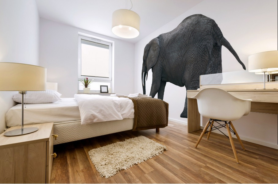 Single African Elephant Mural print