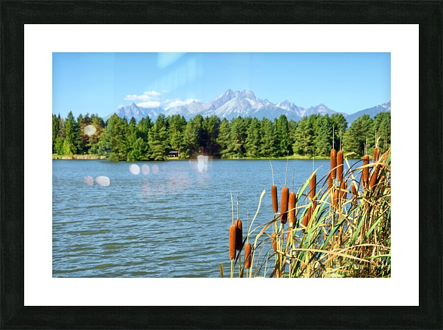  Fine Art print
