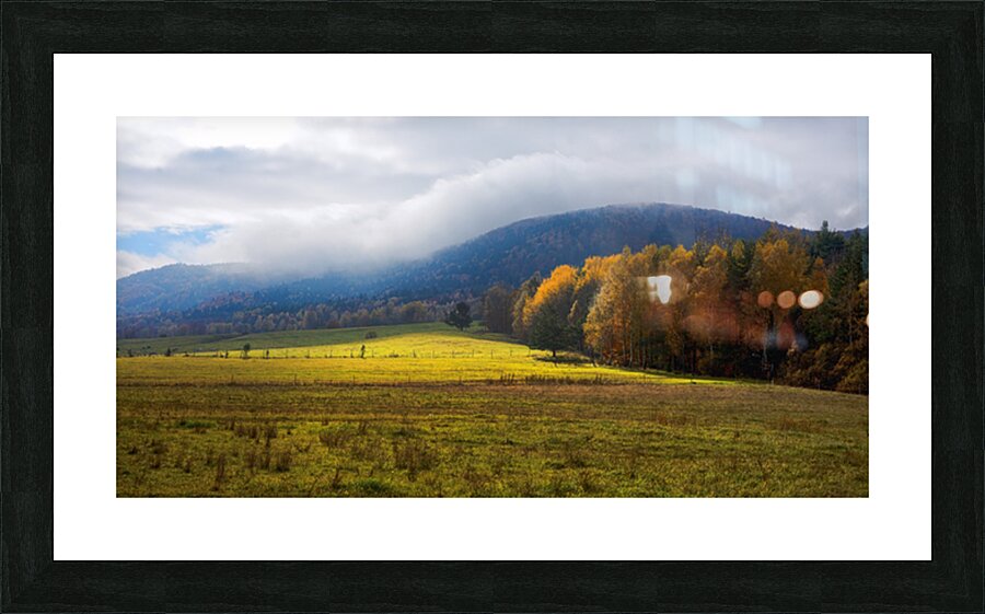  Fine Art print