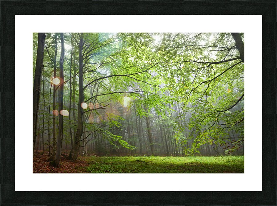  Fine Art print