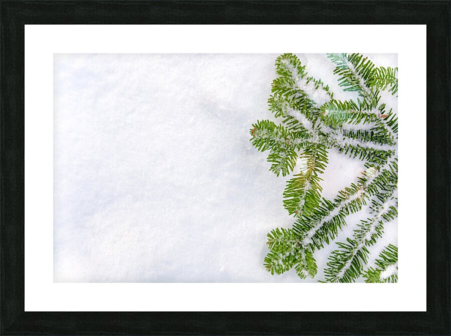  Fine Art print