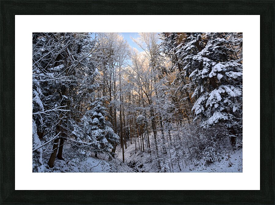  Fine Art print