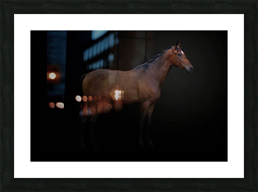  Fine Art print