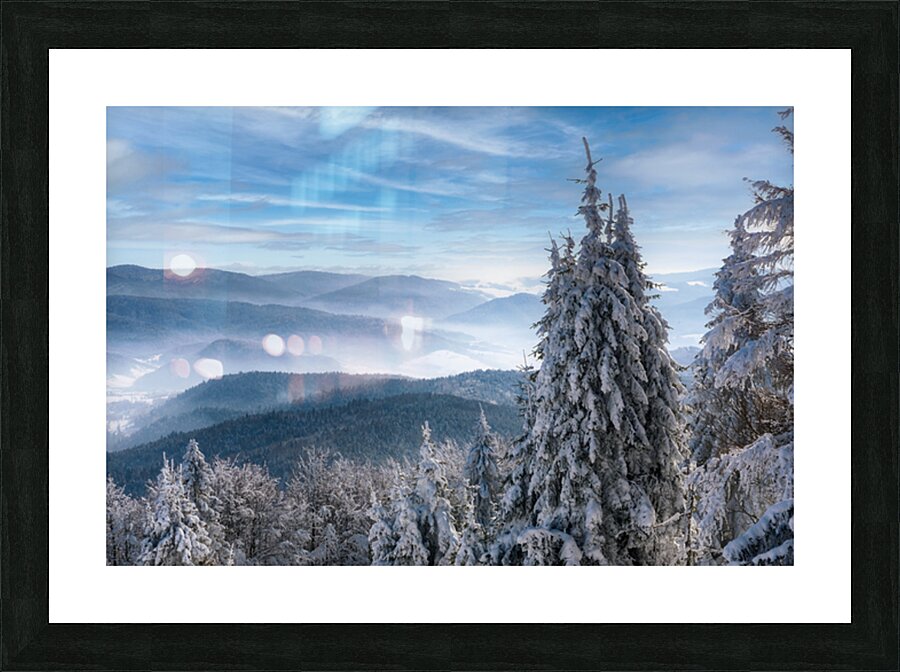  Fine Art print