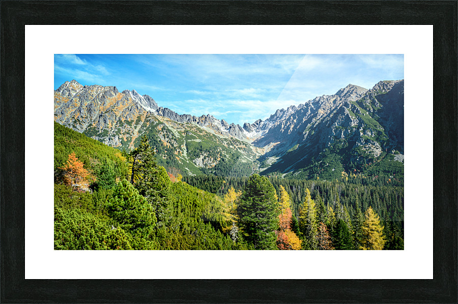  Fine Art print
