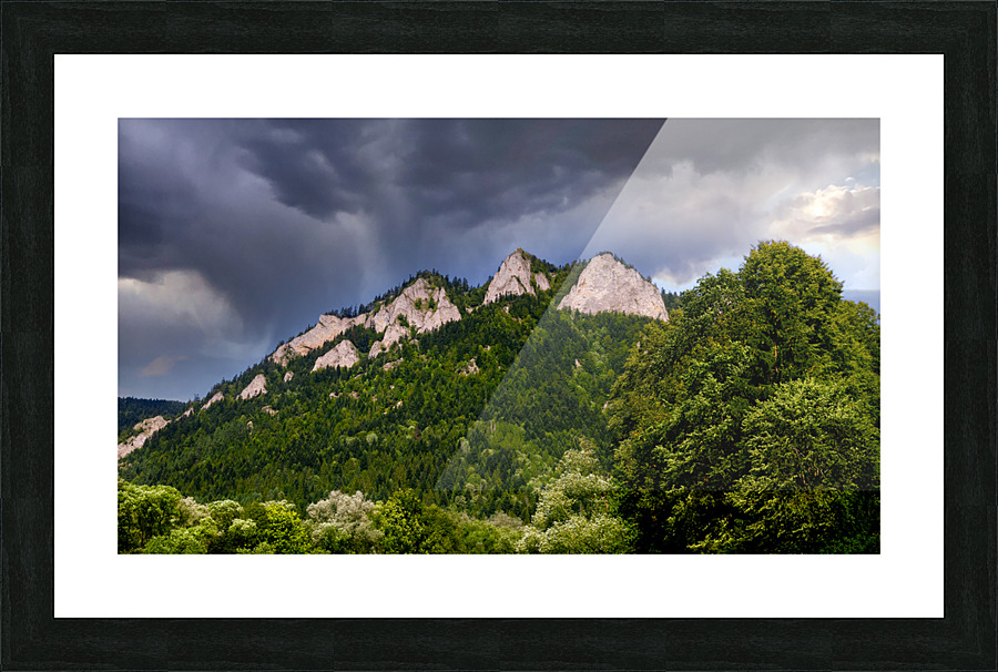  Fine Art print