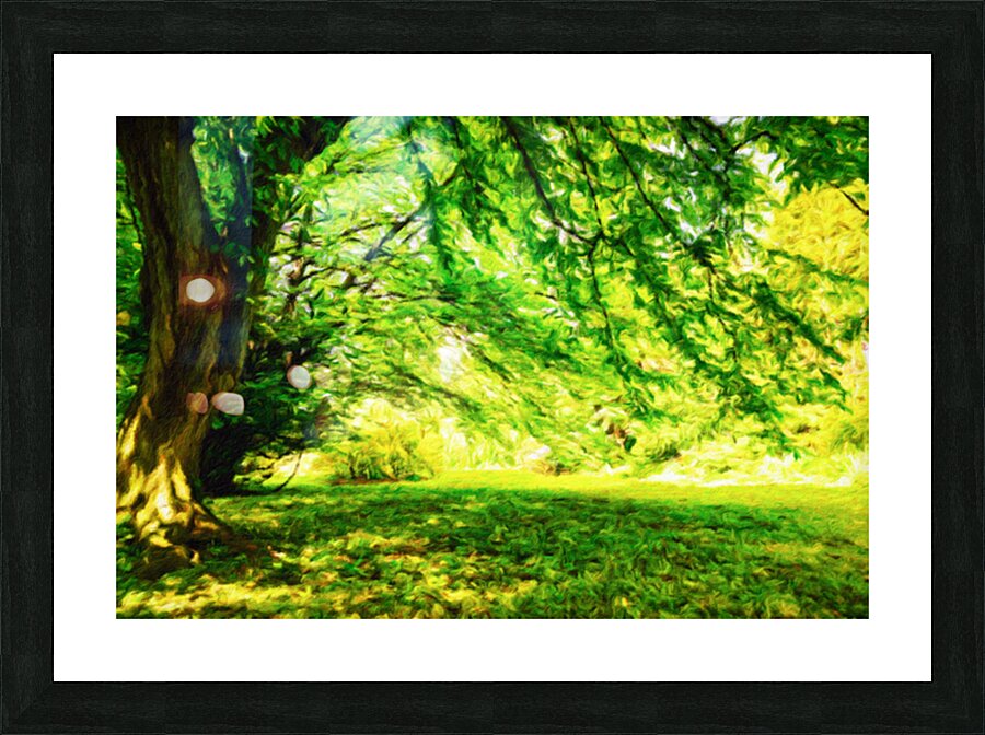 Summer park landscape Picture Frame print