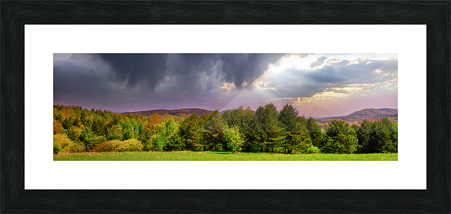  Fine Art print