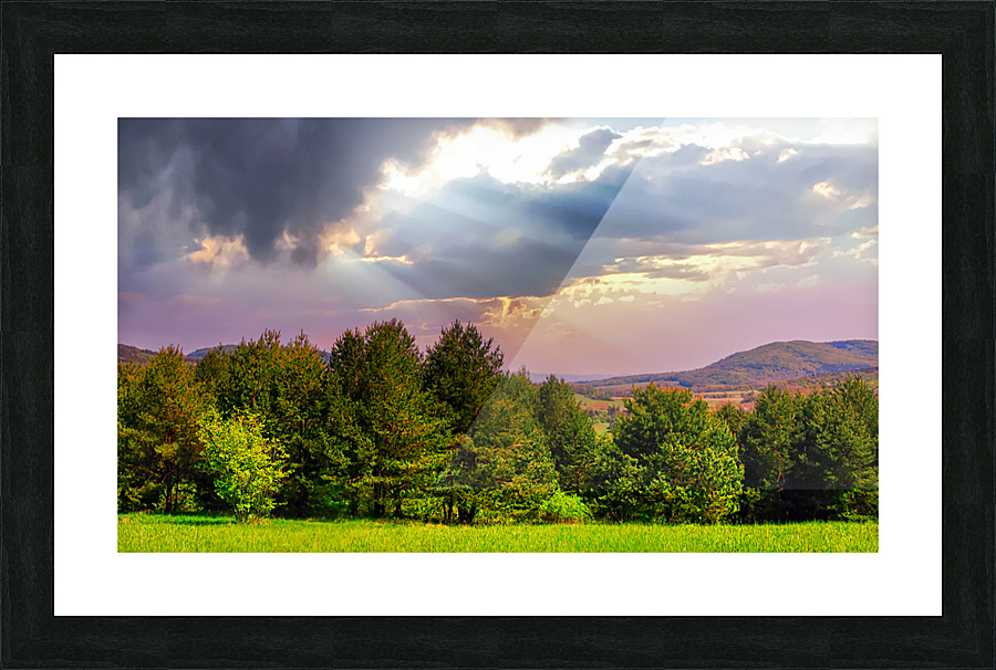  Fine Art print