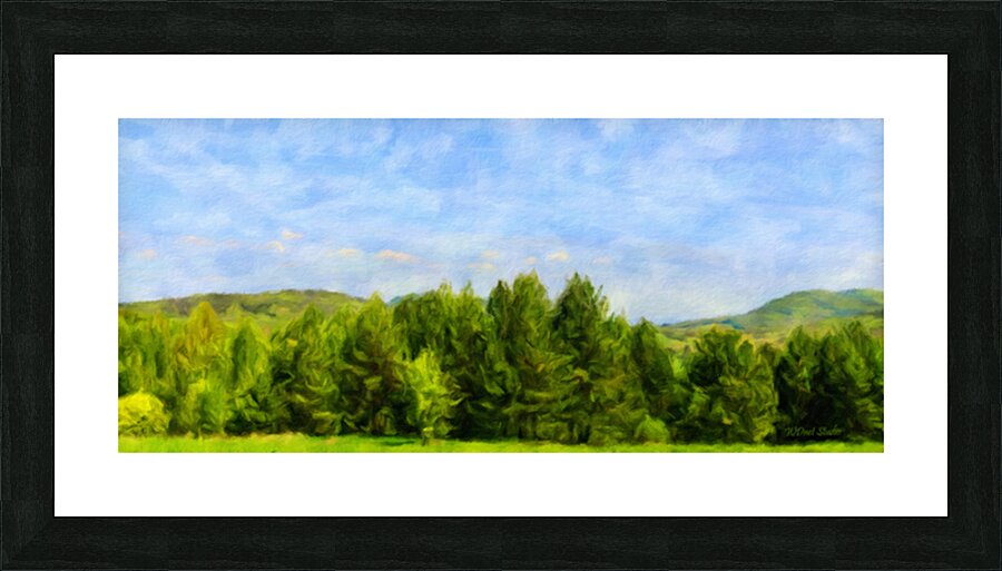  Fine Art print