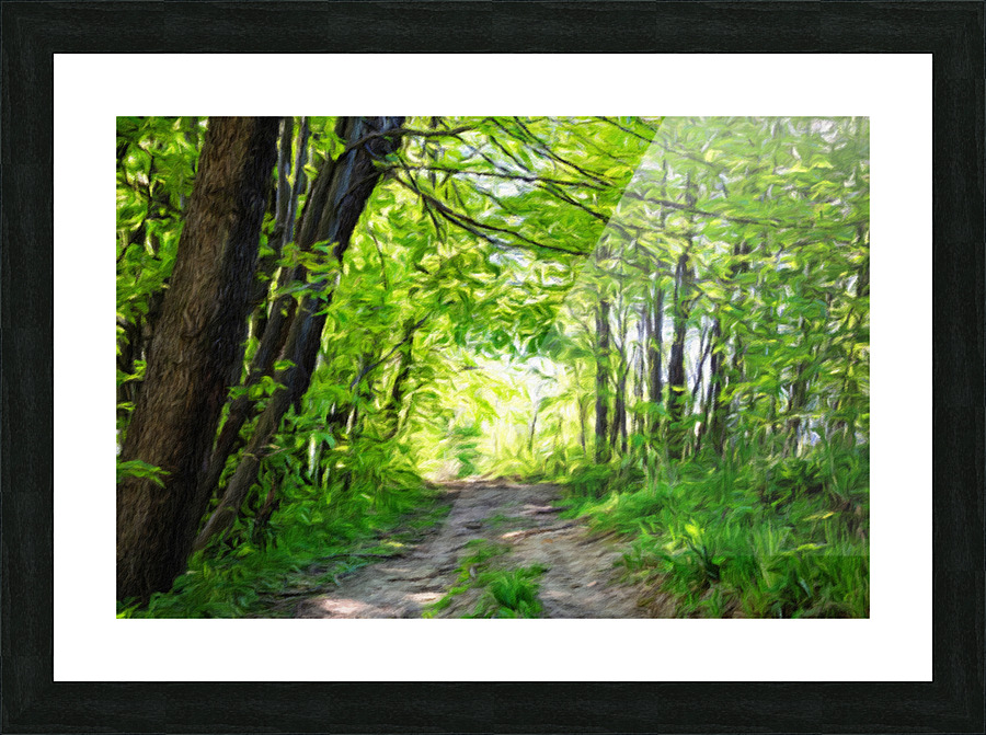 Summer forest and trees Picture Frame print