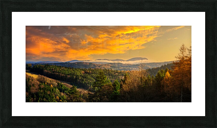  Fine Art print