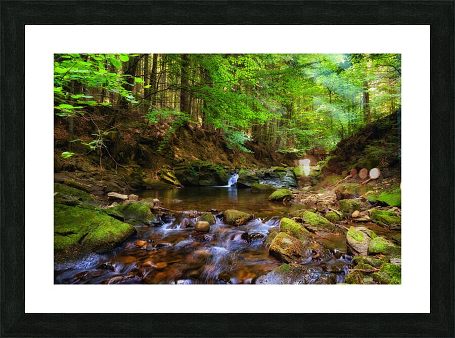  Fine Art print