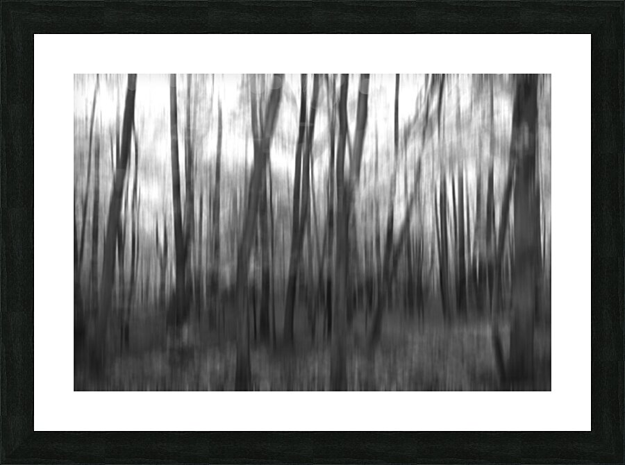Abstract dark forest background Picture Frame print