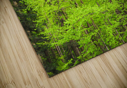 When the lush greenery explodes in springtime AS Photography puzzle