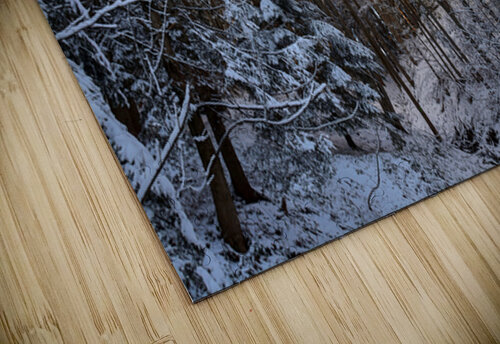 Picturesque winter forest landscape AS Photography puzzle