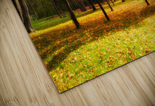 Picturesque autumn park AS Photography puzzle
