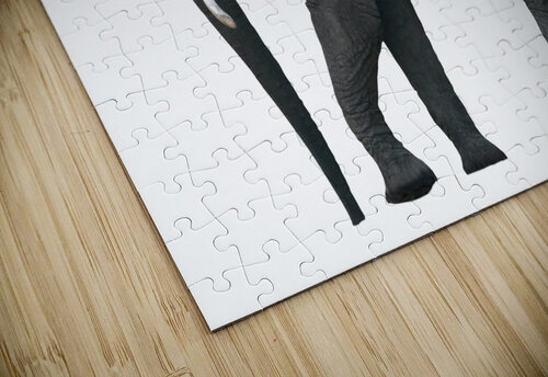 Single African Elephant AS Photography puzzle