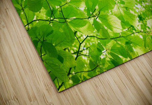 Abstract greenery background AS Photography puzzle