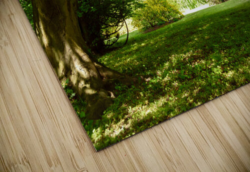 Summer park landscape AS Photography puzzle