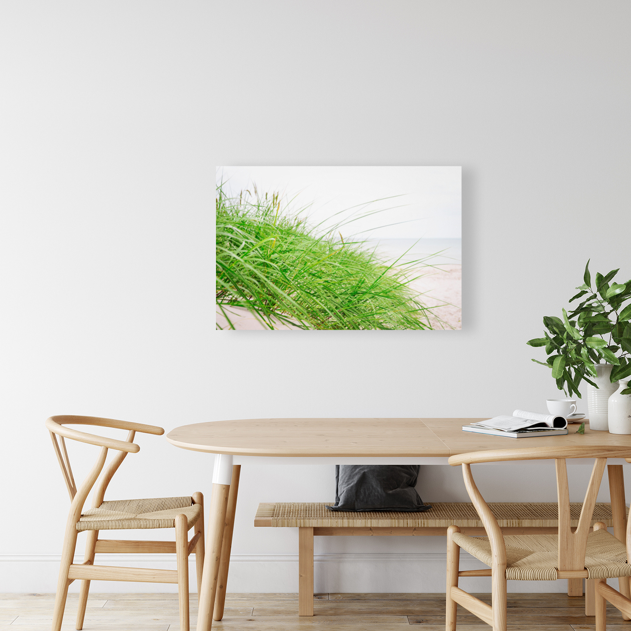 Green beach grass Reproduction