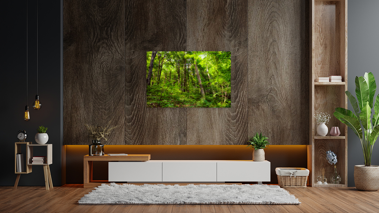 Fresh springtime beech forest Reproduction