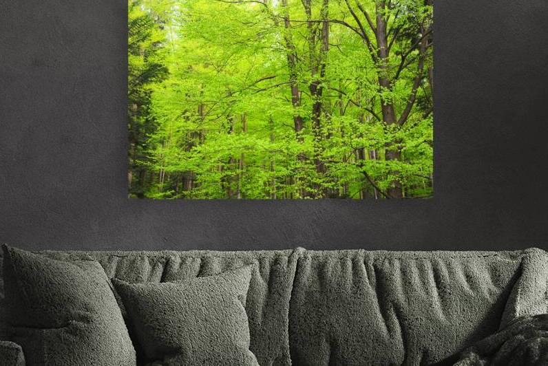 When the lush greenery explodes in springtime Reproduction