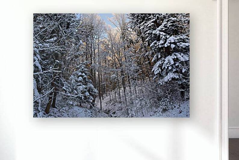 Picturesque winter forest landscape Reproduction