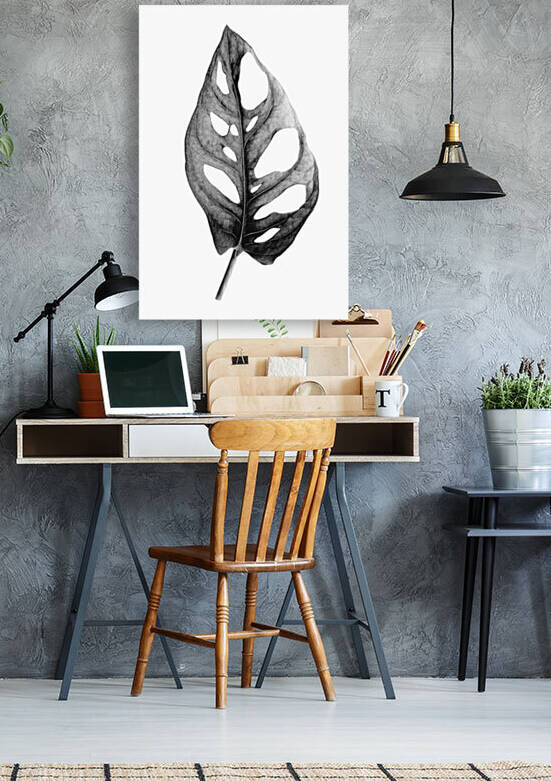 Tropical Monstera Adansonii in black and white by AS Photography