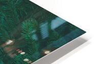 Spruce branches background HD Metal print