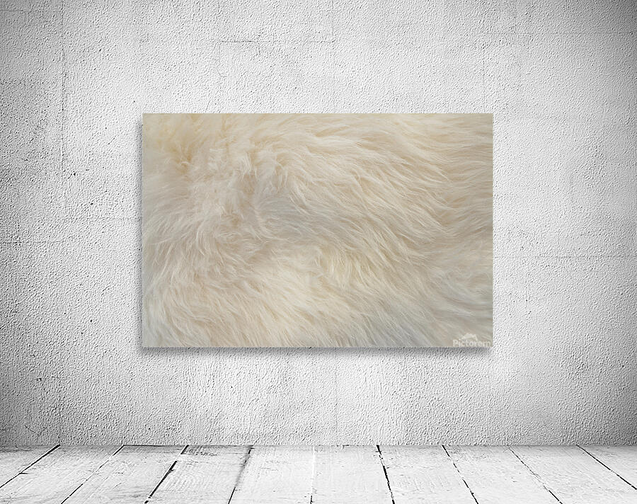  Delicate white fur background Wall Preview