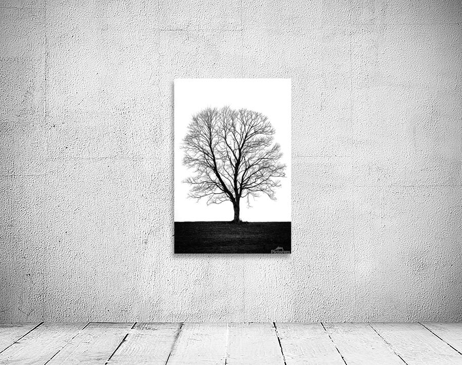 Dark bare tree in BW Wall Preview