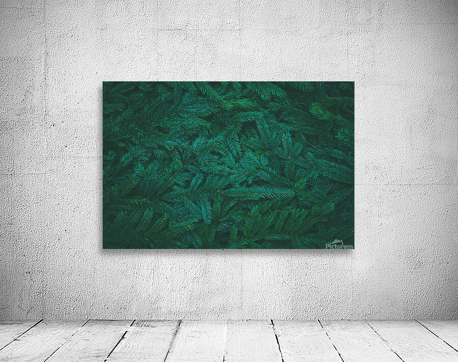 Spruce branches background Wall Preview