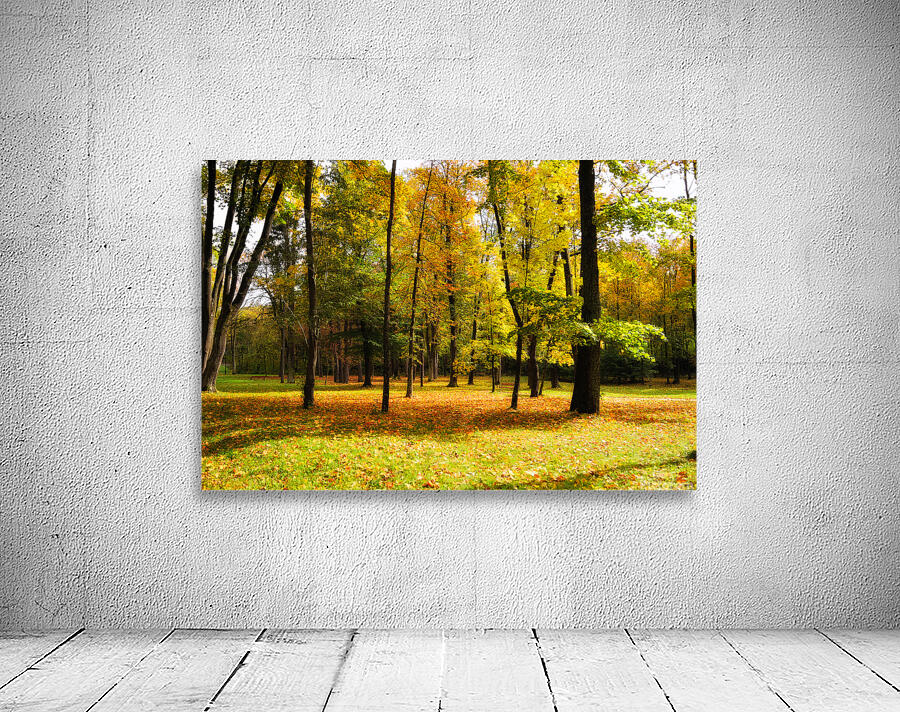 Picturesque autumn park Wall Preview