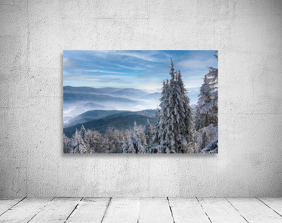 Fabulous winter panorama Wall Preview
