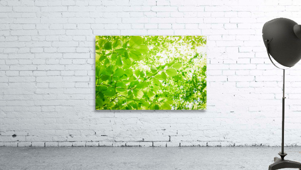Abstract greenery background Wall Preview
