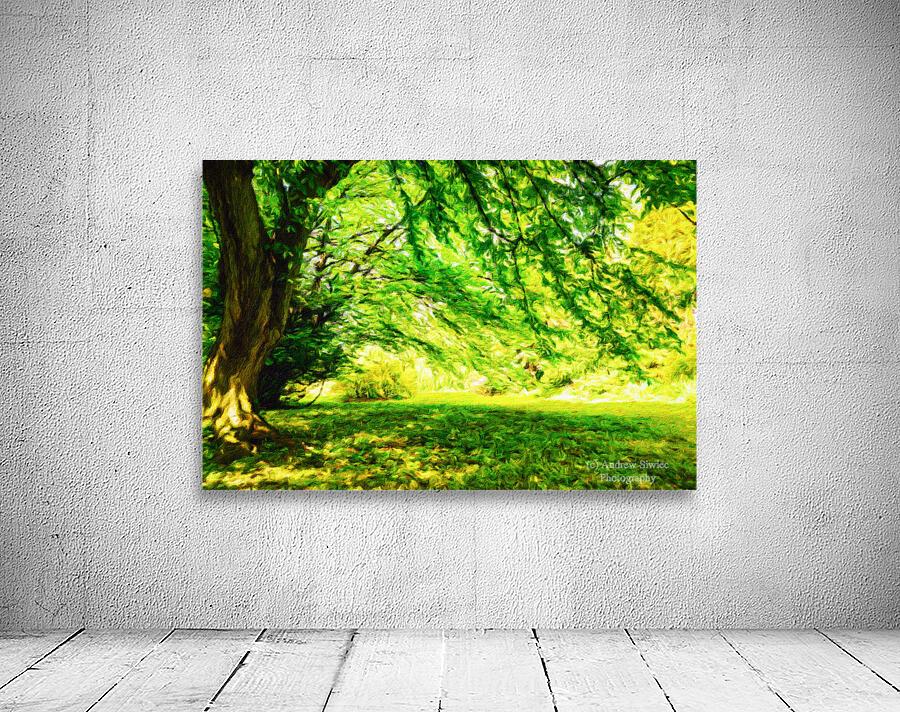 Summer park landscape Wall Preview