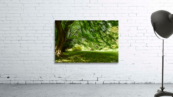 Summer park landscape Wall Preview