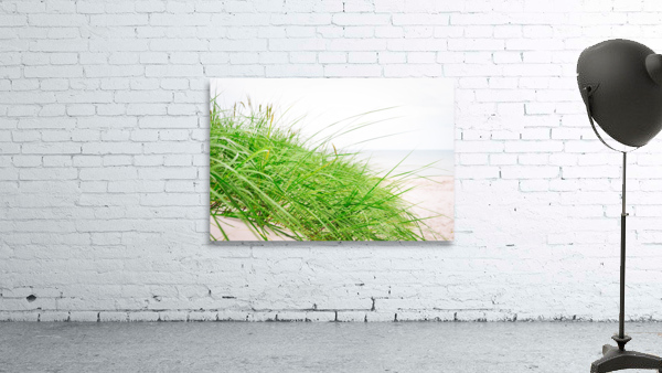 Green beach grass Wall Preview
