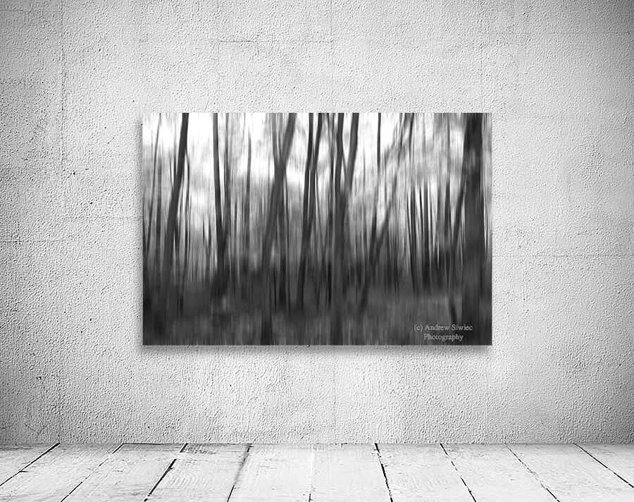 Abstract dark forest background Wall Preview