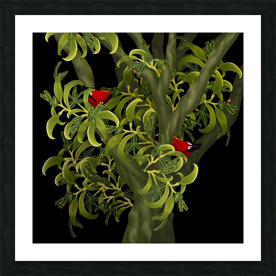 Iiwi Dreams Picture Frame print
