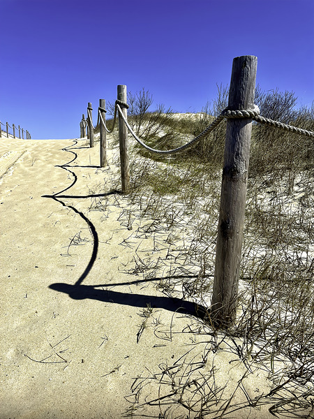 Pathway Across a Dune to the Beach Digital Download