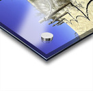 Pathway Across a Dune to the Beach Acrylic print