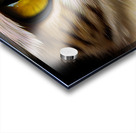Cats Eye Acrylic print