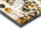 Beachcombing Shells Assortment Impression Acrylique