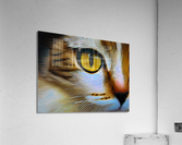 Cats Eye Expressionism Acrylic Print