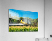 Crop Dusting the Corn Acrylic Print