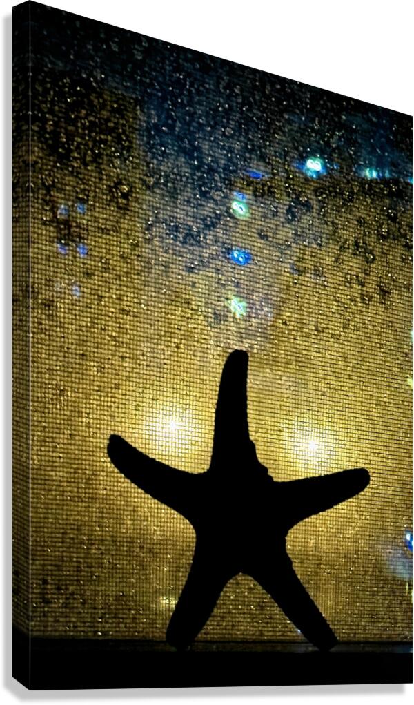 Nancy Starfish Condensate