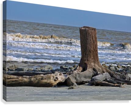 Driftwood Beach Post